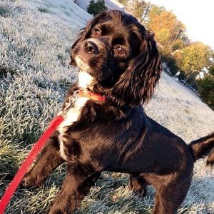 Meet your Posher, Ashleigh